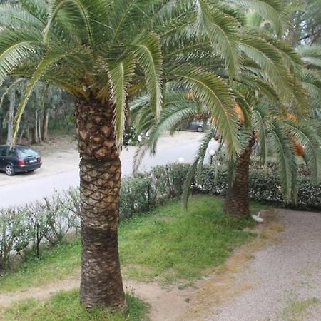 T2 Calvi Entierement Equipe A 150M De La Plage. Ngoại thất bức ảnh